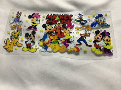 Wraps Disney